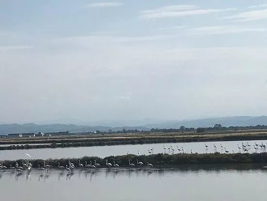 Centro Visite Salina di Cervia