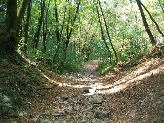 Bunker di Opicina