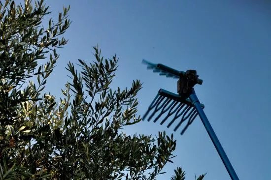 Oleificio Goccia d'Oro di Calabria