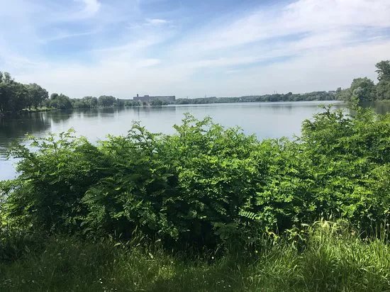 Etang du Vignoble