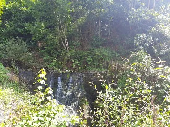 La Fuente Del Toro