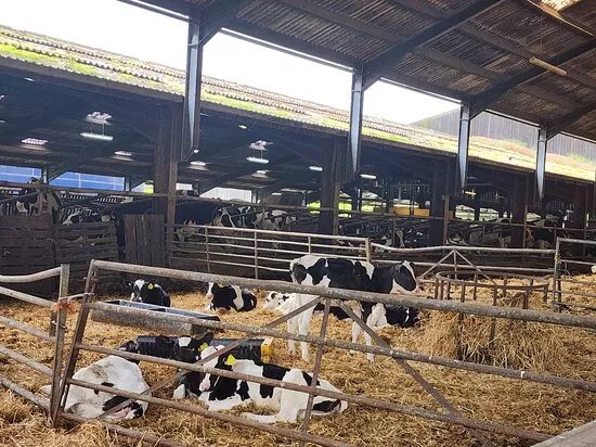 Standhill Farm