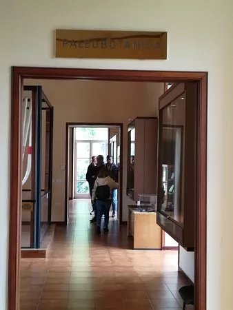 Museo di Paleobotanica ed Etnobotanica