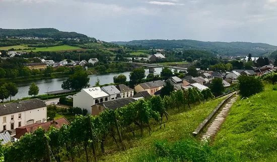 Domaine Henri Ruppert