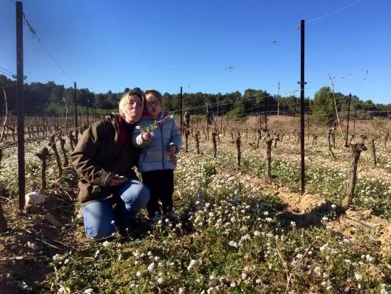 Domaine du Somail