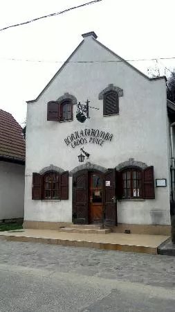 Erdos Pince - Borkatakomba