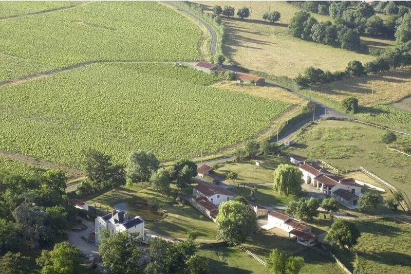 Charm and comfort in the middle of the vineyards