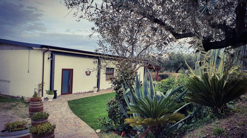 Agriturismo Le Radici da Cesarone