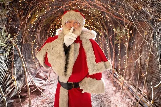 Zip World Zipmas