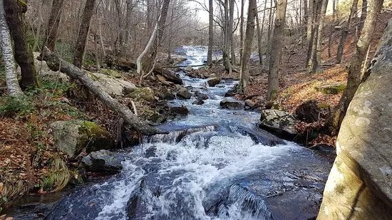 Parc Natural del Montseny