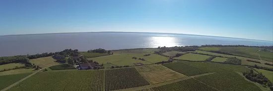 Chateau tour Castillon