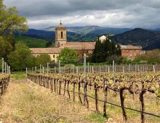 Bodegas Pago de Larrainzar