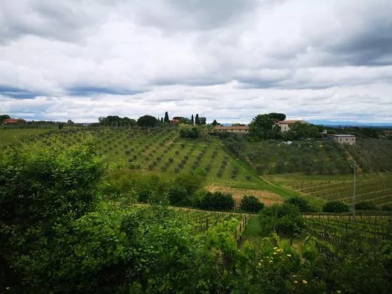 Azienda Agricola Romeo