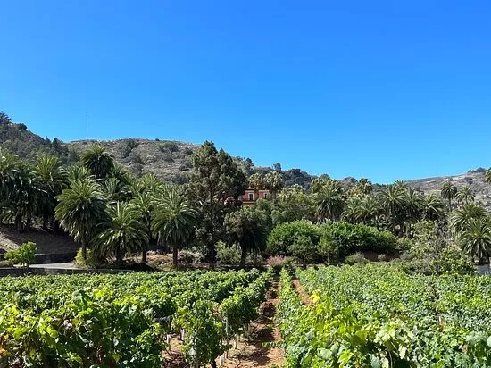 Bodega Finca Escudero