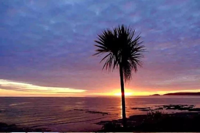 Period luxury 55m fm beach.real fire/free parking/beach/dog