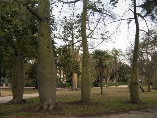 Jardins Del Real Vivers