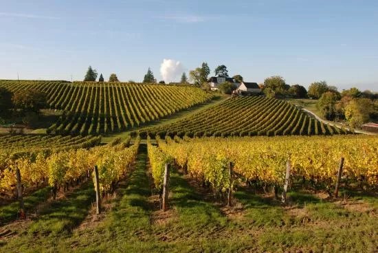Domaine De La Noblaie