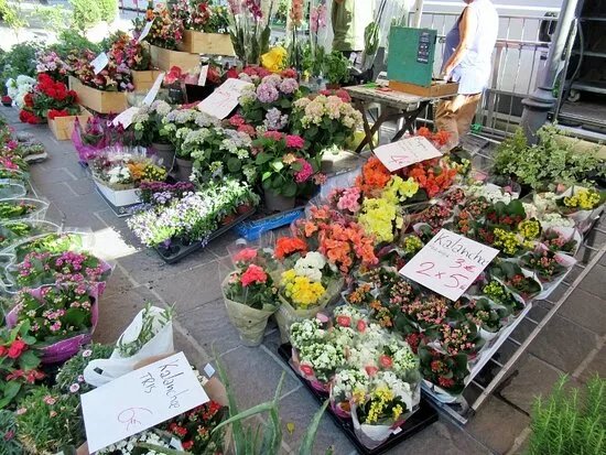 Mercato Storico Di Pianello Val Tidone