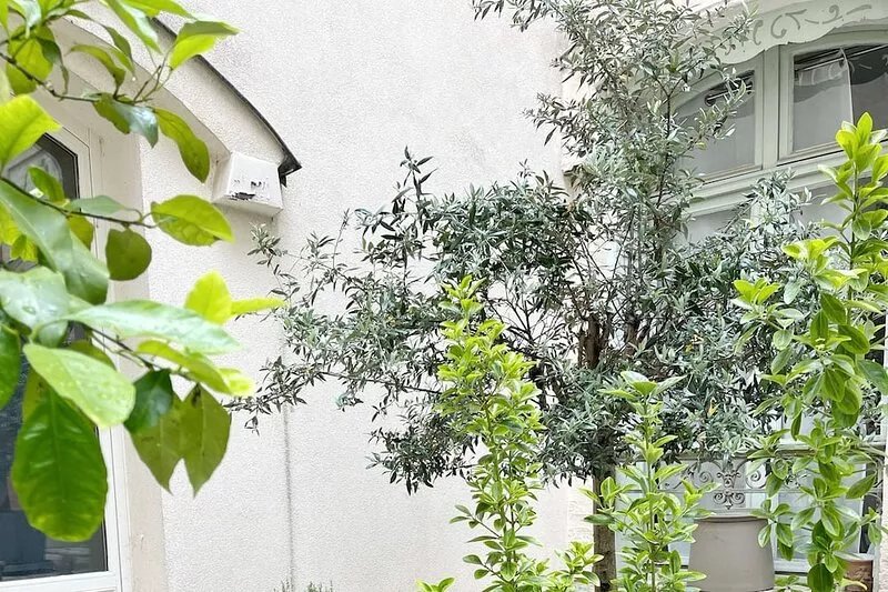 Luxury apartment 150 m place Victor Hugo Paris 16 quiet