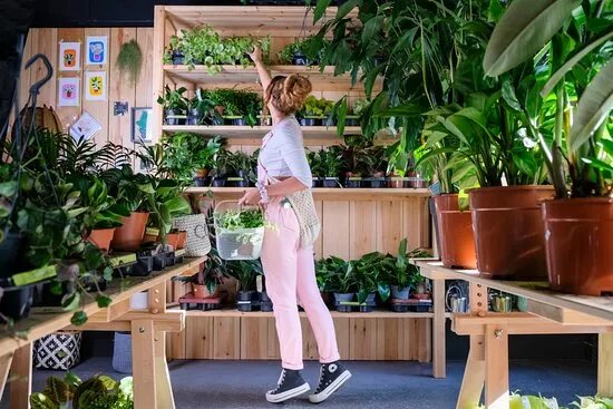 Plant & Paint