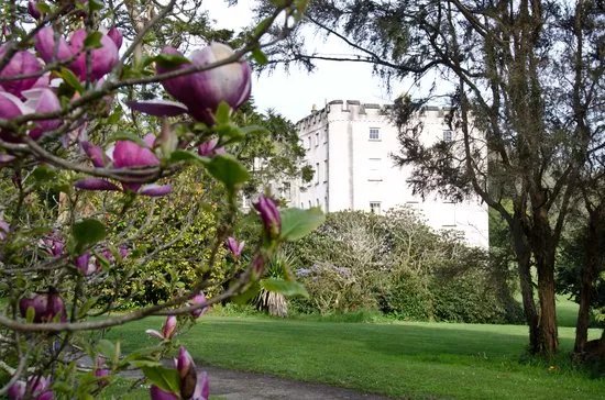 Picton Castle Gardens