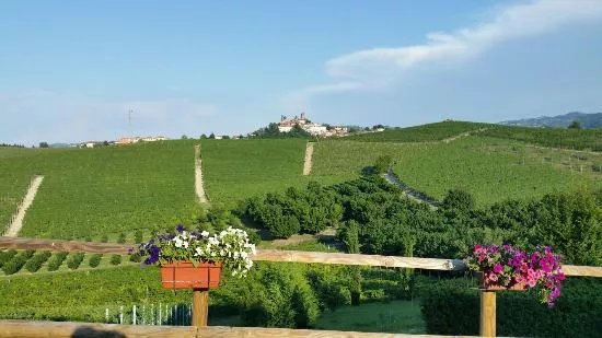 Cantina del Bricchetto di Franco Rocca