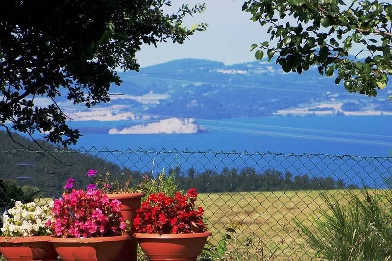 BOLSENA - CIVITA di BAGNOREGIO, MONTERADO VACANZE, Park of Oaks, Top Panorami