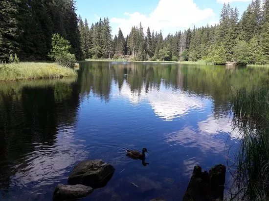 Vrbicke pleso