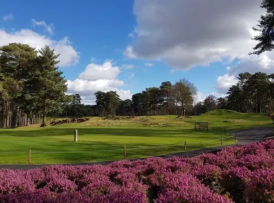 Camberley Heath