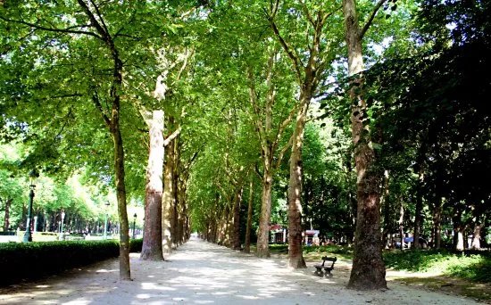 Parc Elisabeth