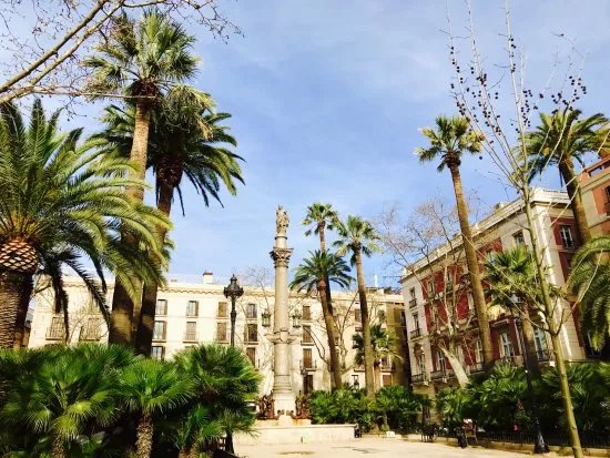 Placa Reial