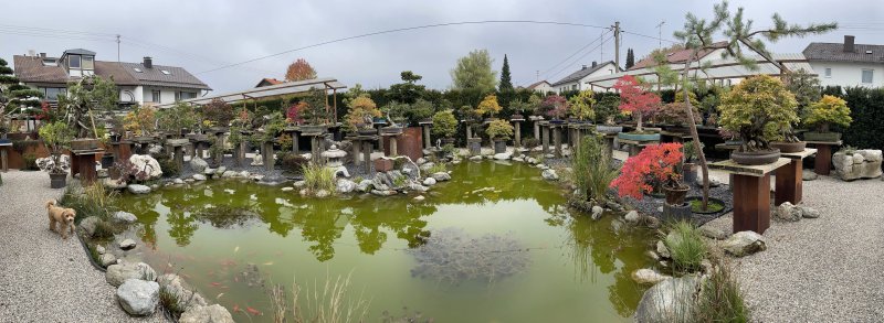 Bonsai Garten Munchen