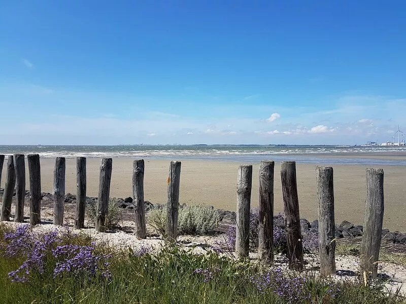 Detached house "RamaDelMar" on the Westerschelde
