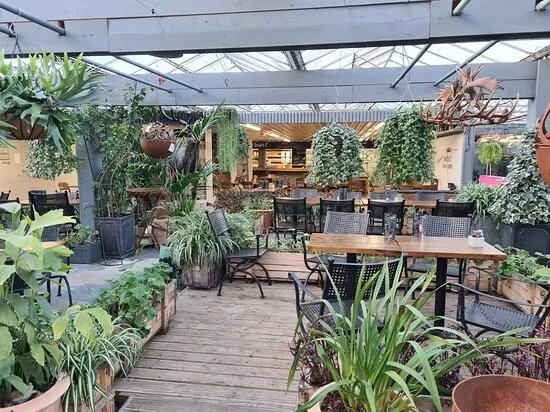 Markham Grange Garden Centre & Steam Museum