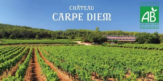 Chateau Carpe Diem