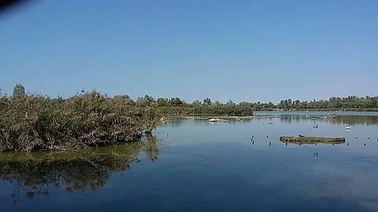Riserva Naturale di Torrile e Trecasali
