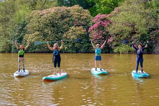 Moxie Unleashed Sup & Fitness