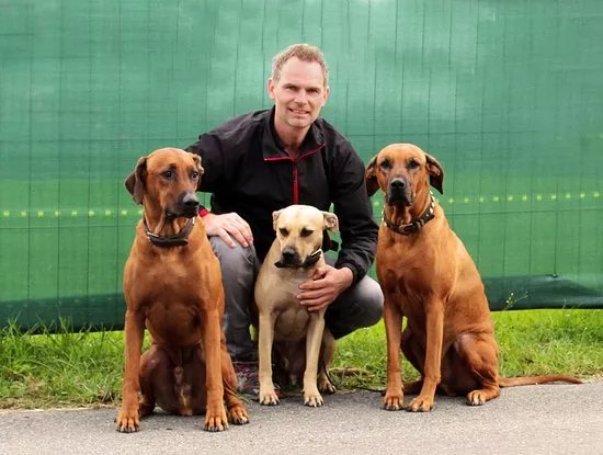 Doginstinct Hundeschule
