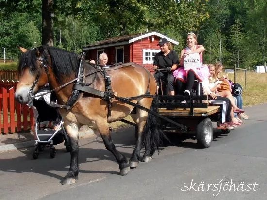 Skarsjohast