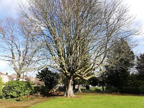 Itter Park