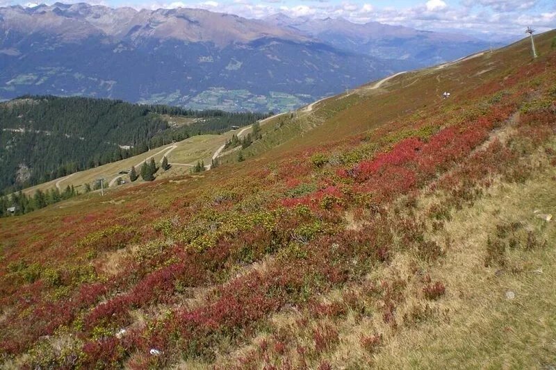 Austrian Alpine Rectory - Beautiful mountain views in a quiet farming hamlet.