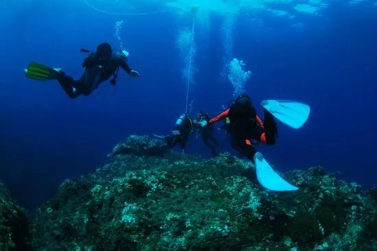 Ischia Diving