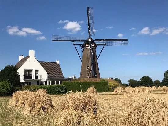 Windkorenmolen De Roosdonck