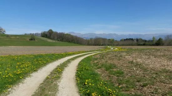 L’ippovia della Valle del Cormor