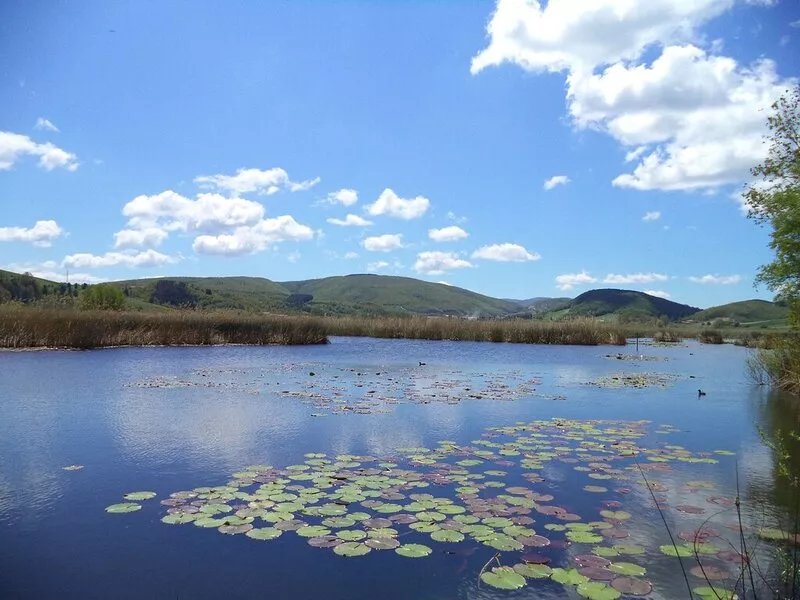 Ancient Plan. Appart in the Greenest Umbria: Nature, History, Genuineness, Relax