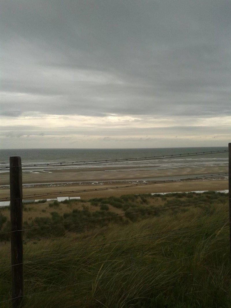 Zeester Beach Studios