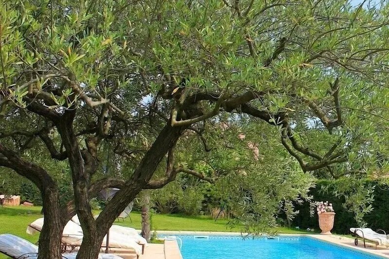 Provençal villa with HEATED SWIMMING POOL near LOURMARIN and LUBERON vineyards