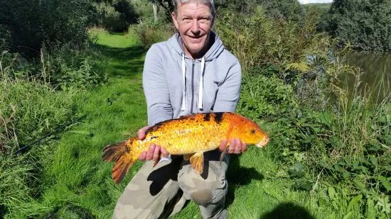 Pensagillas Coarse Fishing Lake