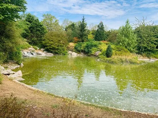 Parc du Suzon - Jardin Japonais