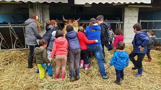 Soul Farm - Azienda Agricola Elilu